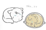 post #9446507