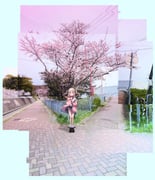 post #5248752