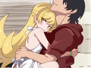 11072107-araragi-koyomi-monogatari-series