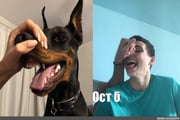 post #9114966