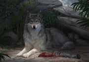 post #7901198