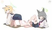 post #8444535