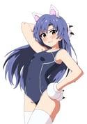 post #8584255