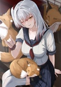 post #7964747