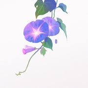 post #9481001