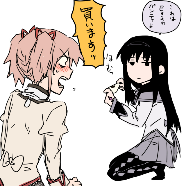 akemi homura and kaname madoka (mahou shoujo madoka magica) drawn by torinone