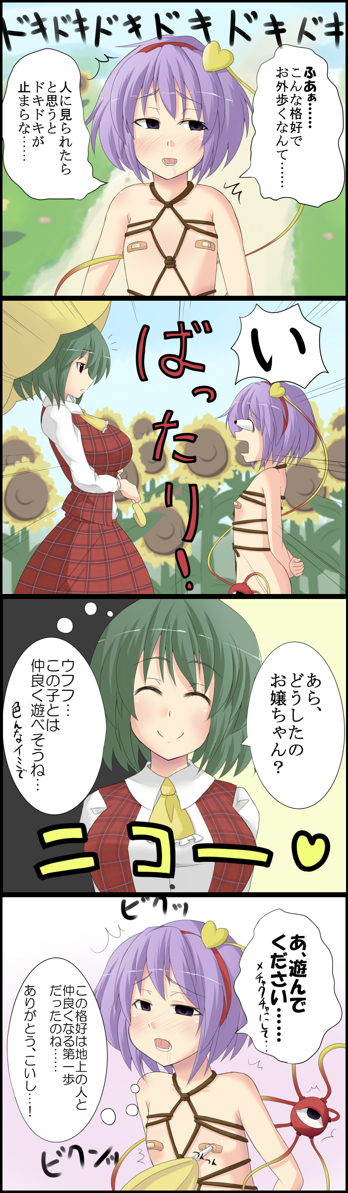 komeiji satori and kazami yuuka (touhou) drawn by super_masara