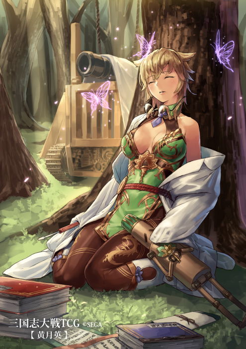 sangokushi taisen and 1 more drawn by cuboon