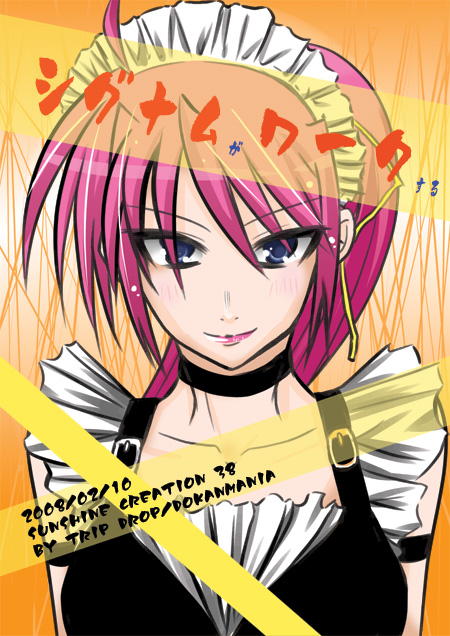 signum (lyrical nanoha and 2 more) drawn by dokanmania