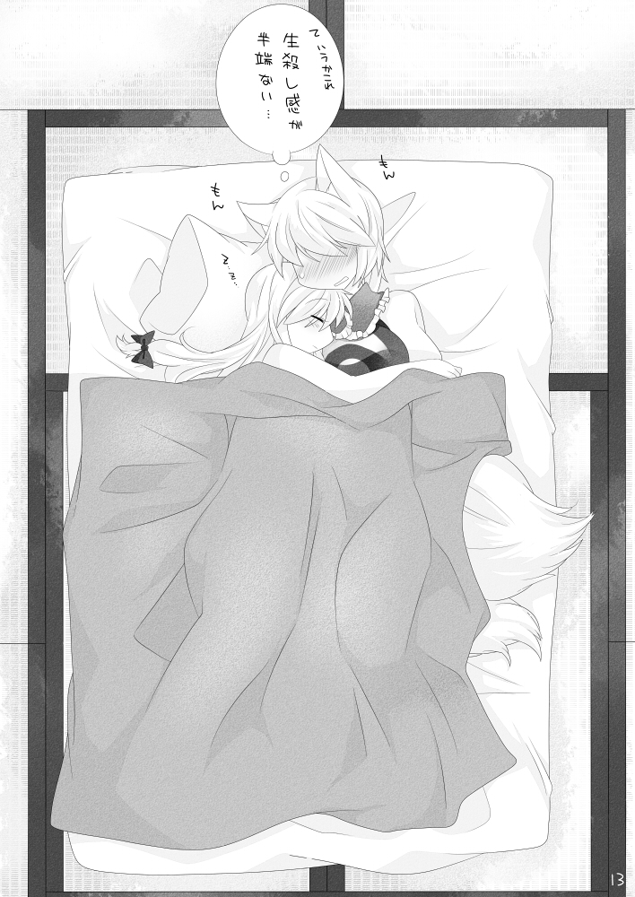 yakumo yukari and yakumo ran (touhou) drawn by hammer_(sunset_beach)