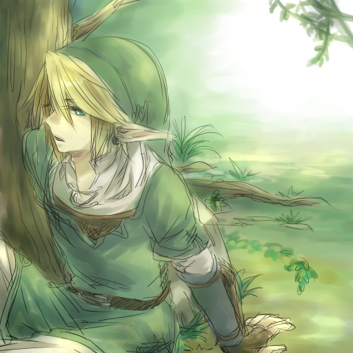 link (the legend of zelda and 1 more)