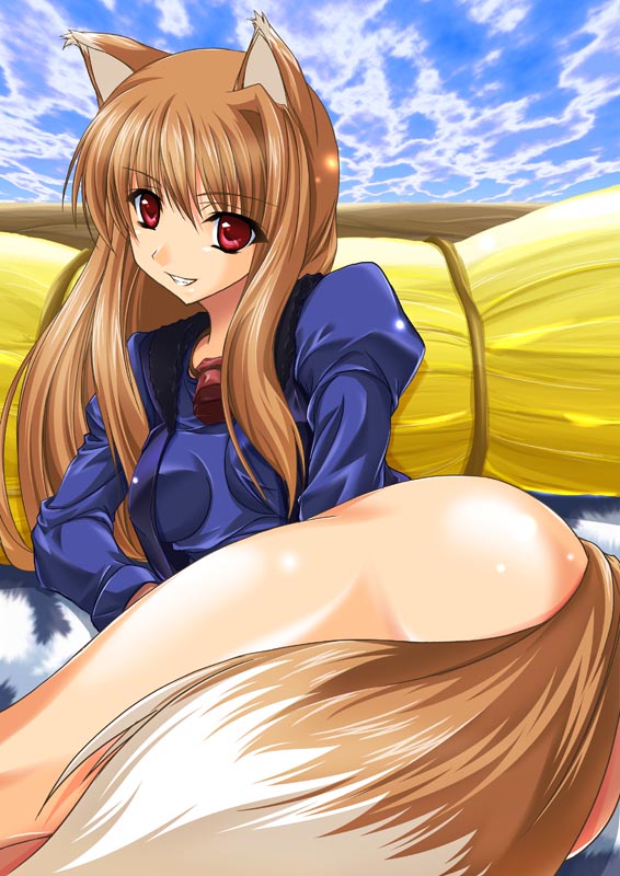 holo (spice and wolf) drawn by maho_(yakimorokoshi)