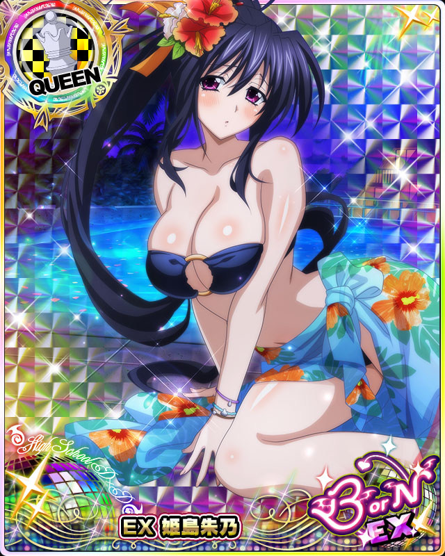 himejima akeno (high school dxd and 1 more)