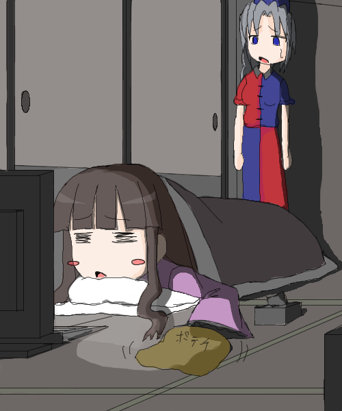 houraisan kaguya and yagokoro eirin (touhou) drawn by nabewo