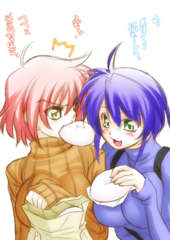 subaru nakajima and nove (lyrical nanoha and 1 more) drawn by sakura_ryuuken