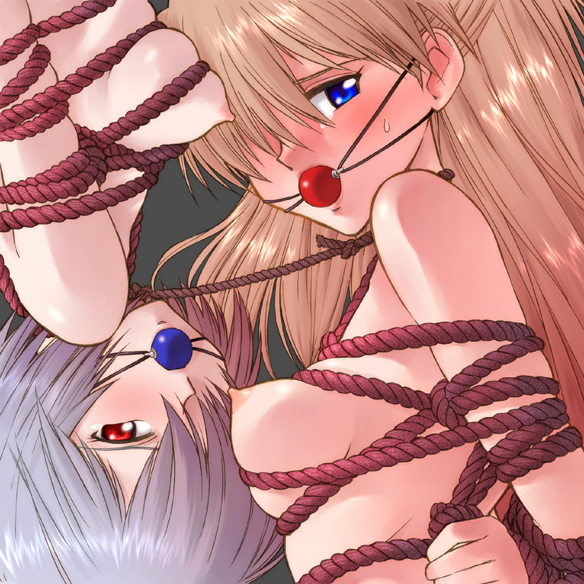 souryuu asuka langley and ayanami rei (neon genesis evangelion) drawn by kikumaru_bunta