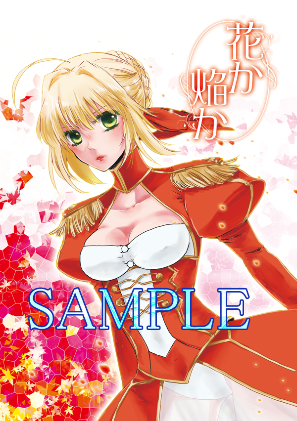 nero claudius (fate and 1 more) drawn by ichimatsu_shiro