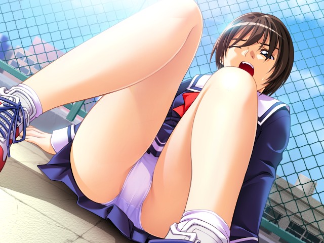 miyatsuji kotono (ai shimai tsubomi) drawn by takei_masaki