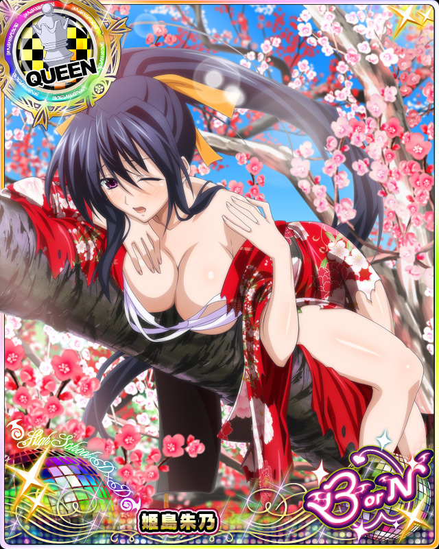 himejima akeno (high school dxd and 1 more)
