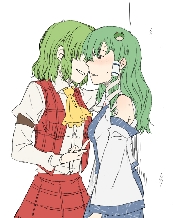 kochiya sanae and kazami yuuka (touhou) drawn by torinone