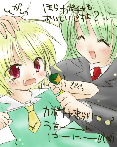houjou satoko and sonozaki shion (higurashi no naku koro ni)