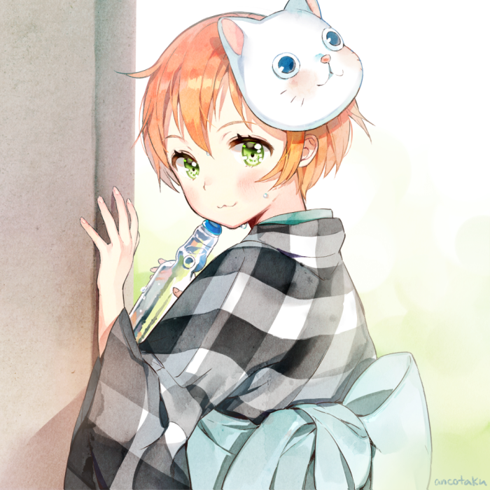 hoshizora rin (love live! and 1 more) drawn by ancotaku