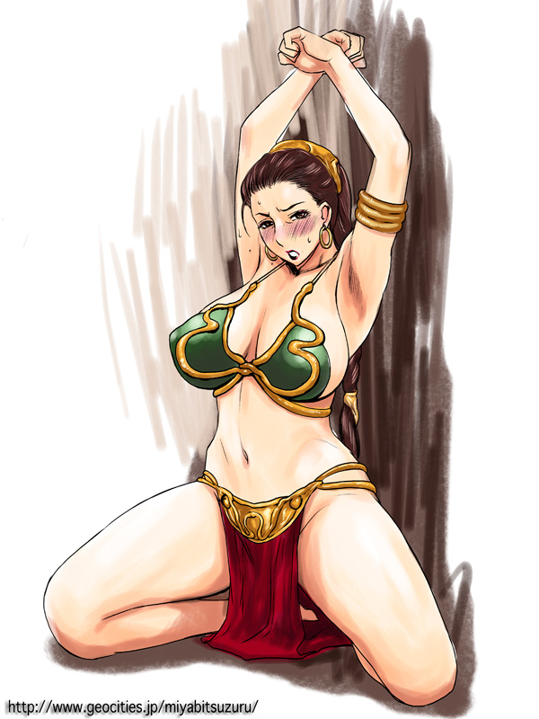 princess leia and huttslayer leia (star wars and 1 more) drawn by miyabi_tsuzuru