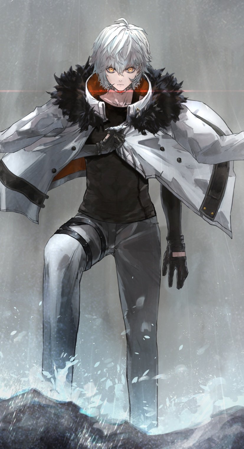 kadoc zemlupus (fate and 1 more) drawn by neko_no_kedama