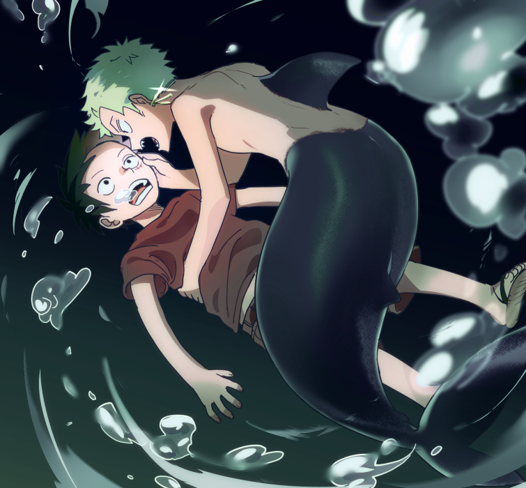monkey d. luffy and roronoa zoro (one piece) drawn by ns1123