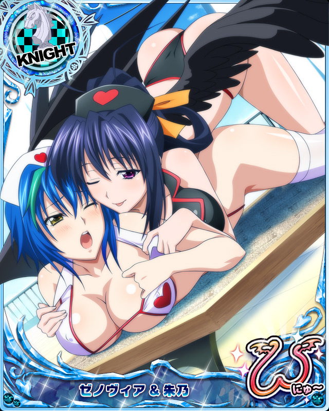 himejima akeno and xenovia quarta (high school dxd and 1 more)