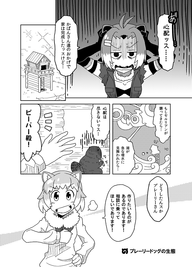 american beaver and black-tailed prairie dog (kemono friends) drawn by kokorori-p