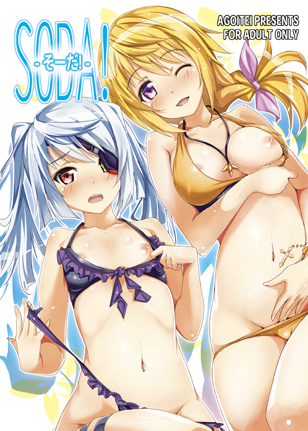 charlotte dunois and laura bodewig (infinite stratos) drawn by sankuro_(agoitei)