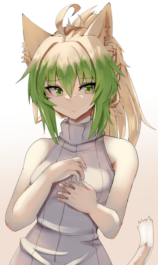 atalanta (fate and 2 more) drawn by nahu