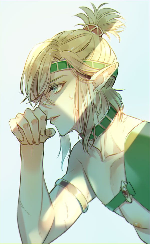 link (the legend of zelda and 1 more) drawn by yuina0099