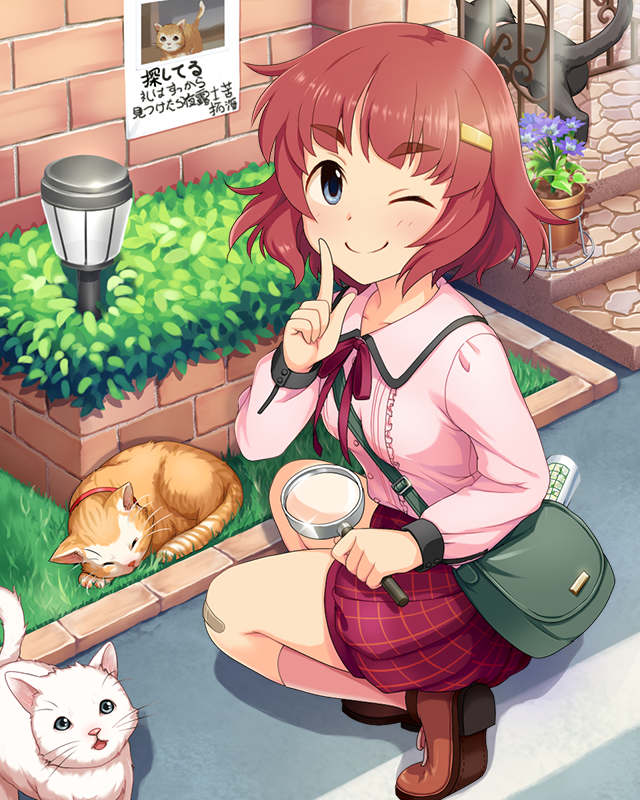 anzai miyako and bucchi (idolmaster and 1 more)