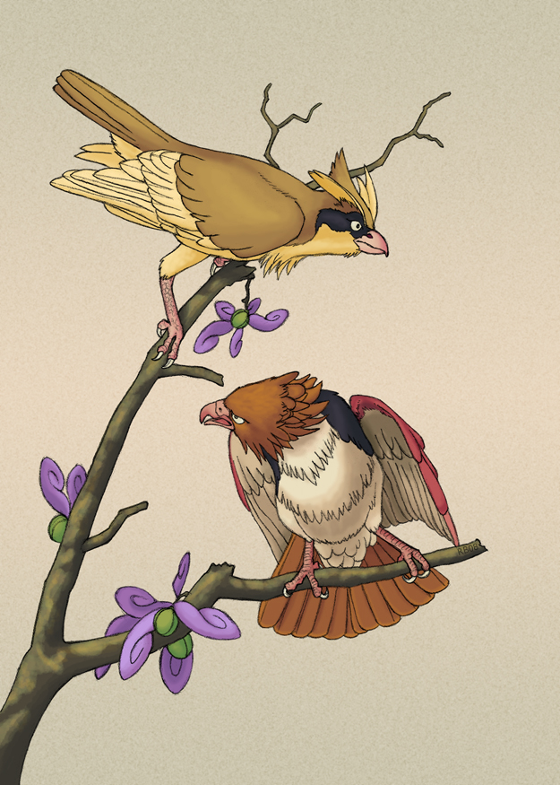 pidgey and spearow (pokemon) drawn by raciebeep