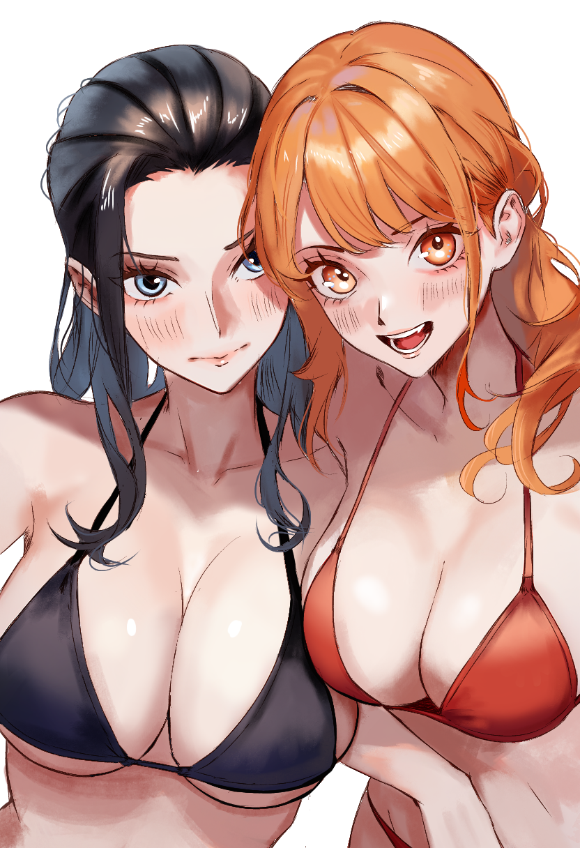 nami and nico robin (one piece) drawn by bion_(insomn_bion)