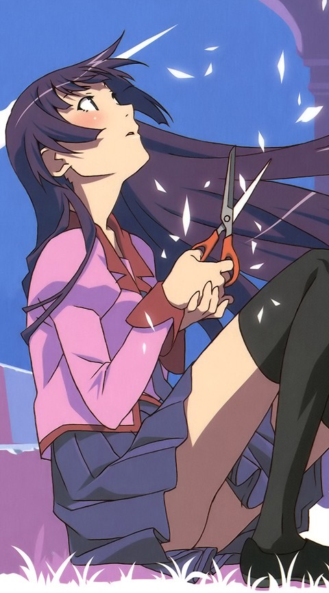 senjougahara hitagi (monogatari and 1 more) drawn by watanabe_akio