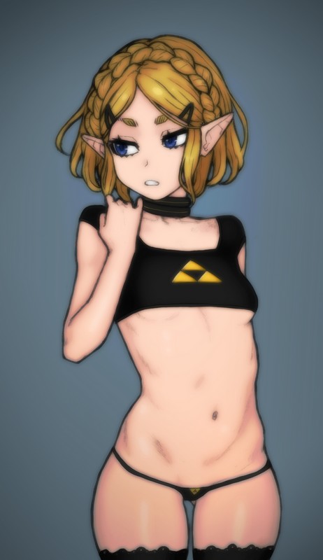 princess zelda (the legend of zelda) drawn by bluesalm0n