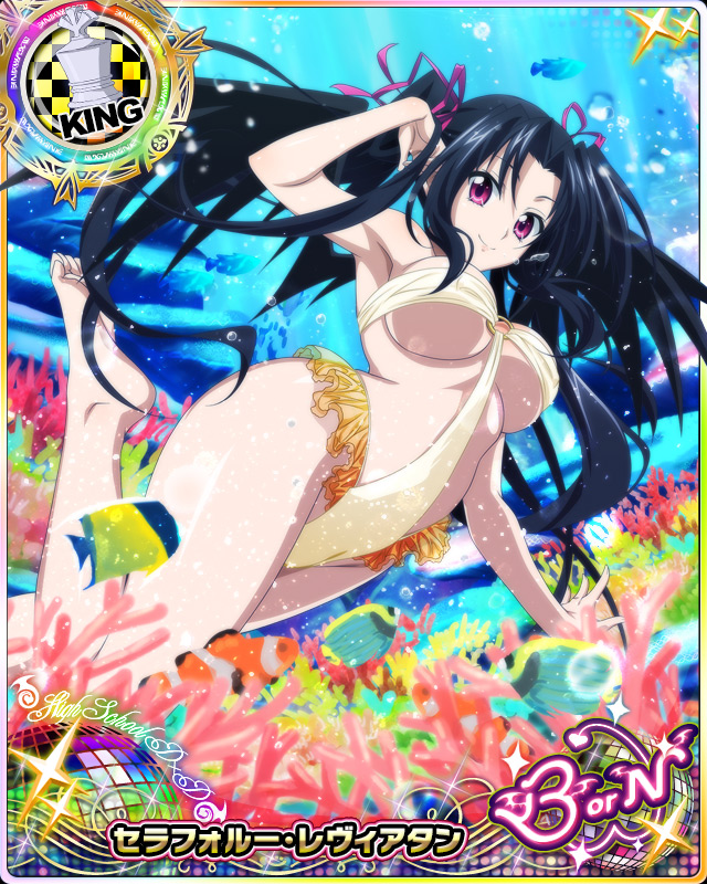 serafall leviathan (high school dxd and 1 more)