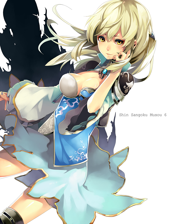 wang yuanji (shin sangoku musou and 2 more) drawn by riku_(wana)