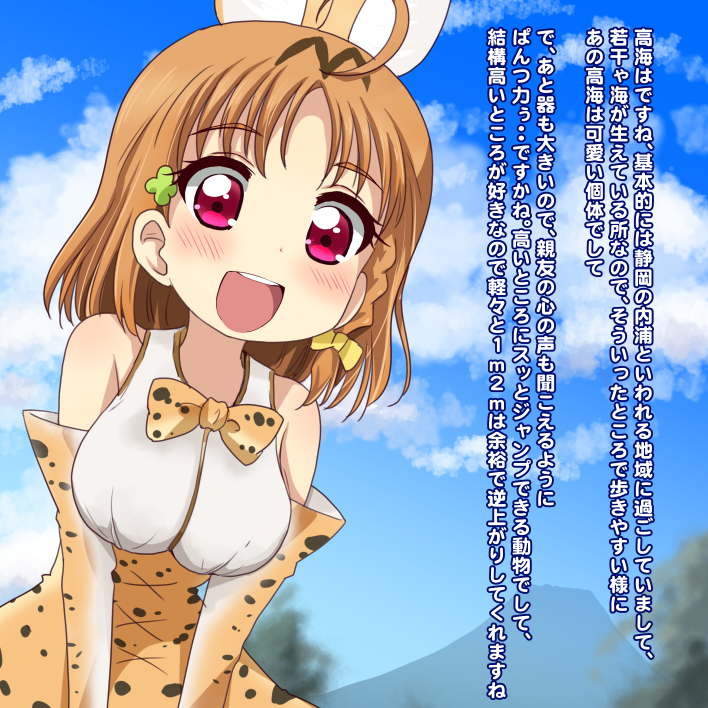 serval and takami chika (love live! and 2 more) drawn by teio_(teiotei)