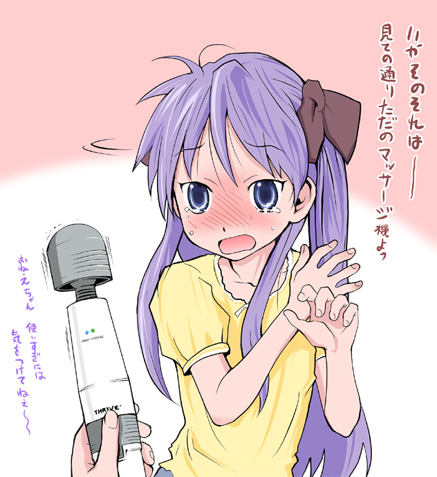 hiiragi kagami and hiiragi tsukasa (lucky star) drawn by tamaoki_benkyou
