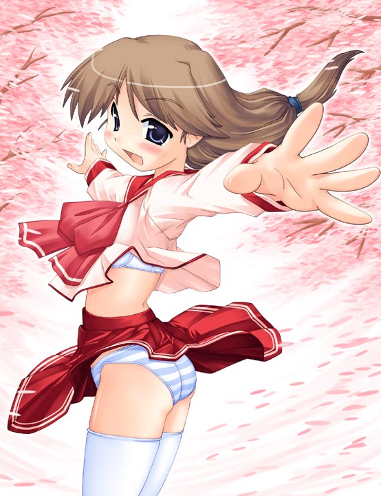 komaki ikuno (to heart and 1 more) drawn by hase_yu