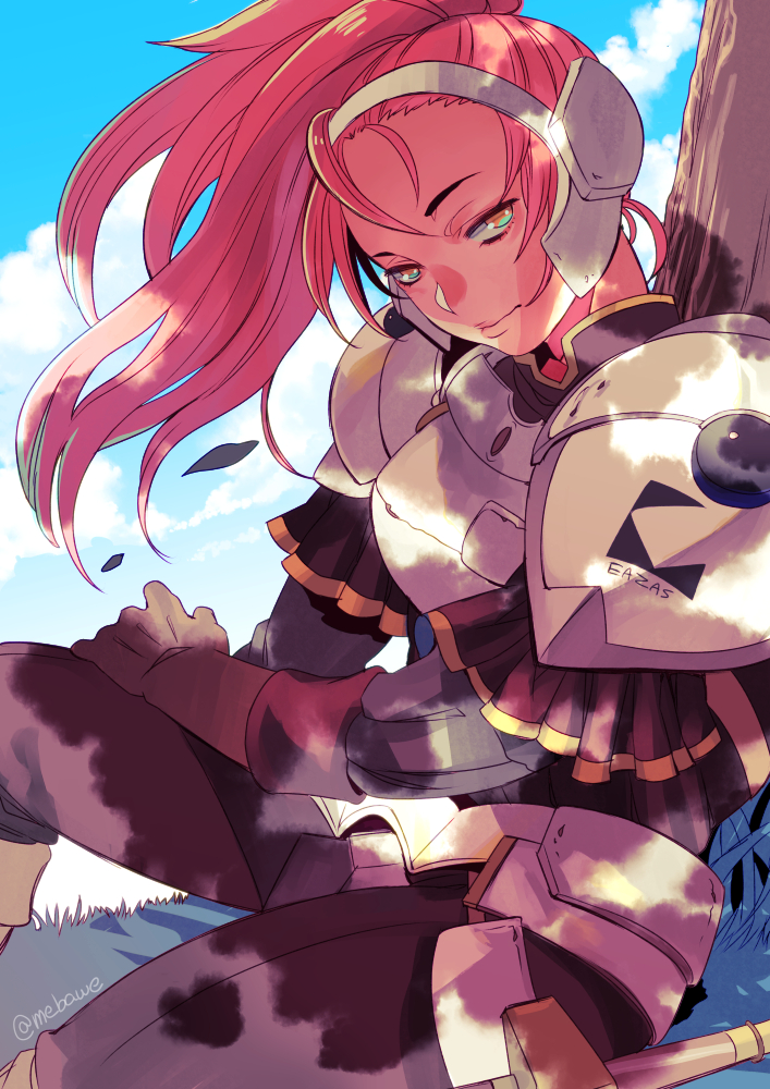 hawlean province (rance and 1 more) drawn by hayasaka