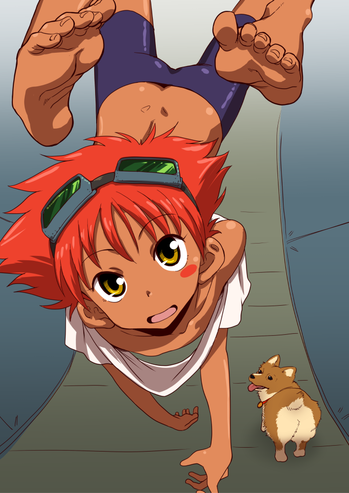 edward wong hau pepelu tivrusky iv, ein, and bebop (cowboy bebop) drawn by uchuu_ika