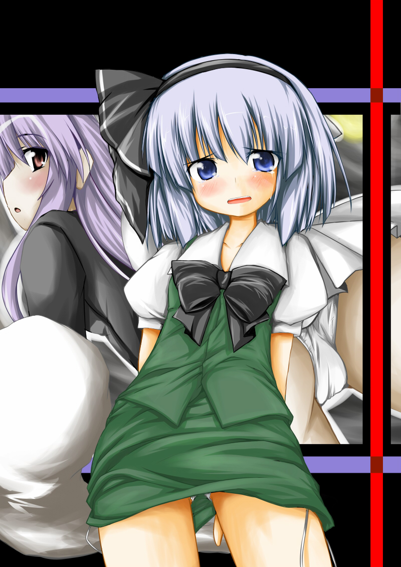 konpaku youmu and reisen udongein inaba (touhou) drawn by nanpuu
