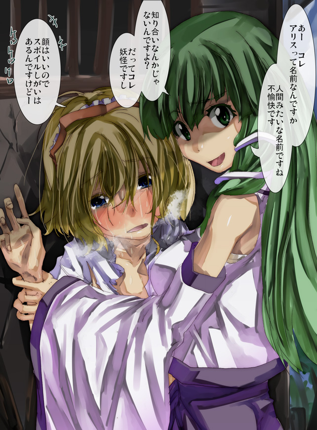 kochiya sanae and alice margatroid (touhou) drawn by yohane