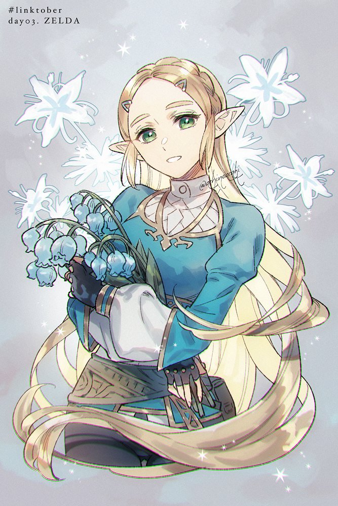 princess zelda (the legend of zelda and 1 more) drawn by ashi