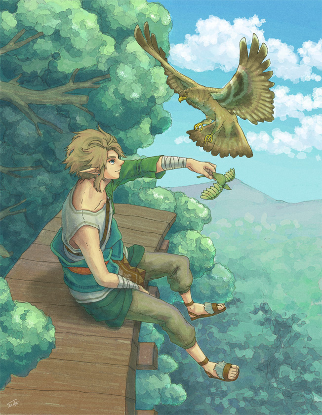 link (the legend of zelda and 1 more) drawn by shushu_(pixiv)